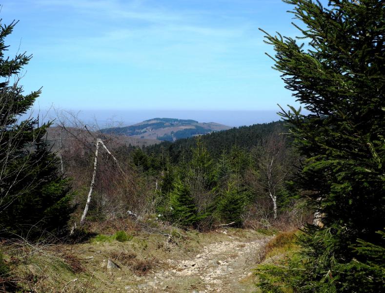 Première apparition du Plateau de la Verrerie