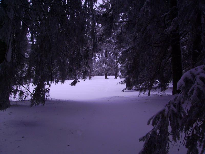 Près du haut de felsach