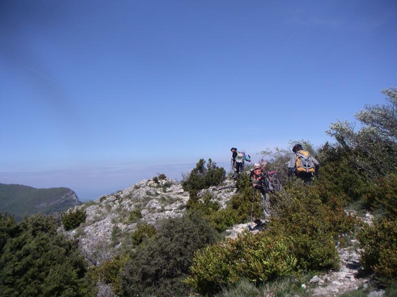 Pt Pommerolle