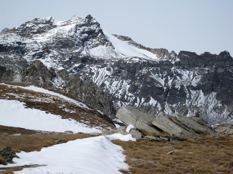 Punta d'Arbola