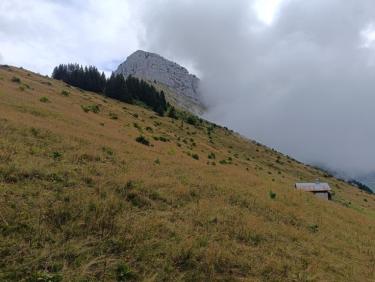 J4 Aravis - Saint Jean de Sixt - Source