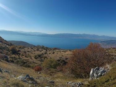 PANO_20261019_144245