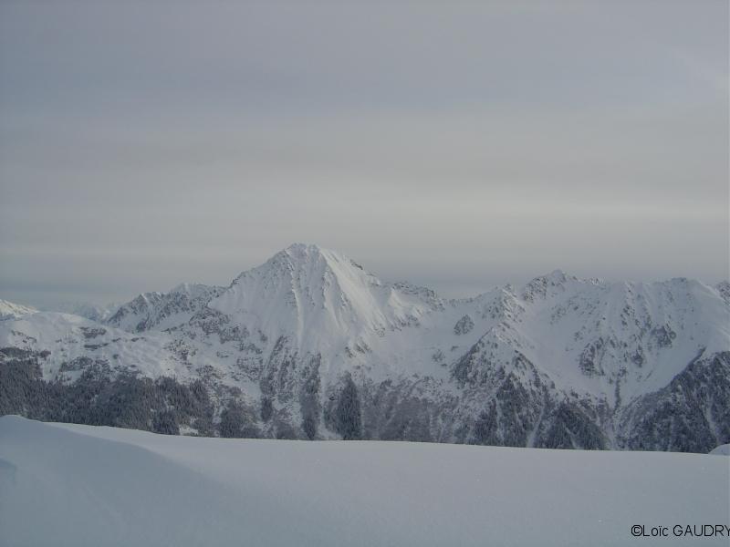 panorama