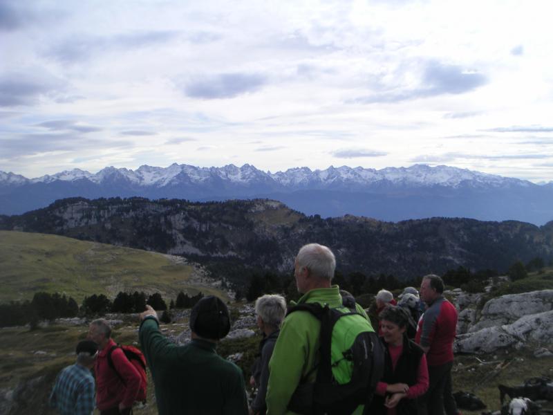 panorama
