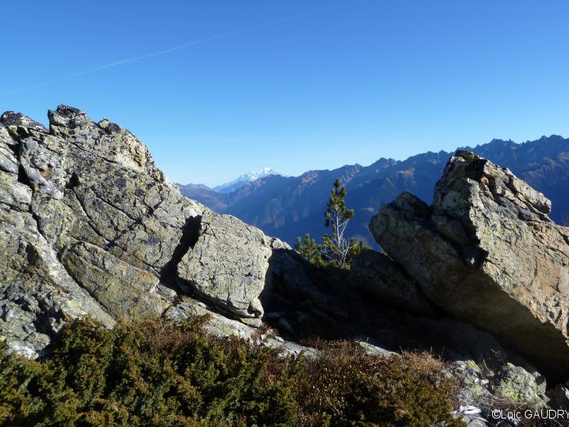 panorama