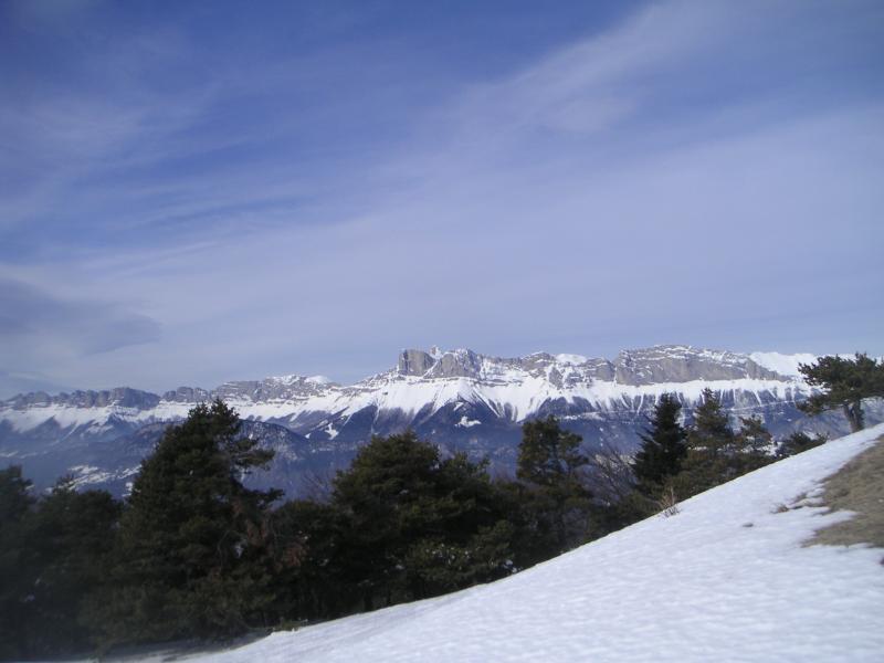 panorama