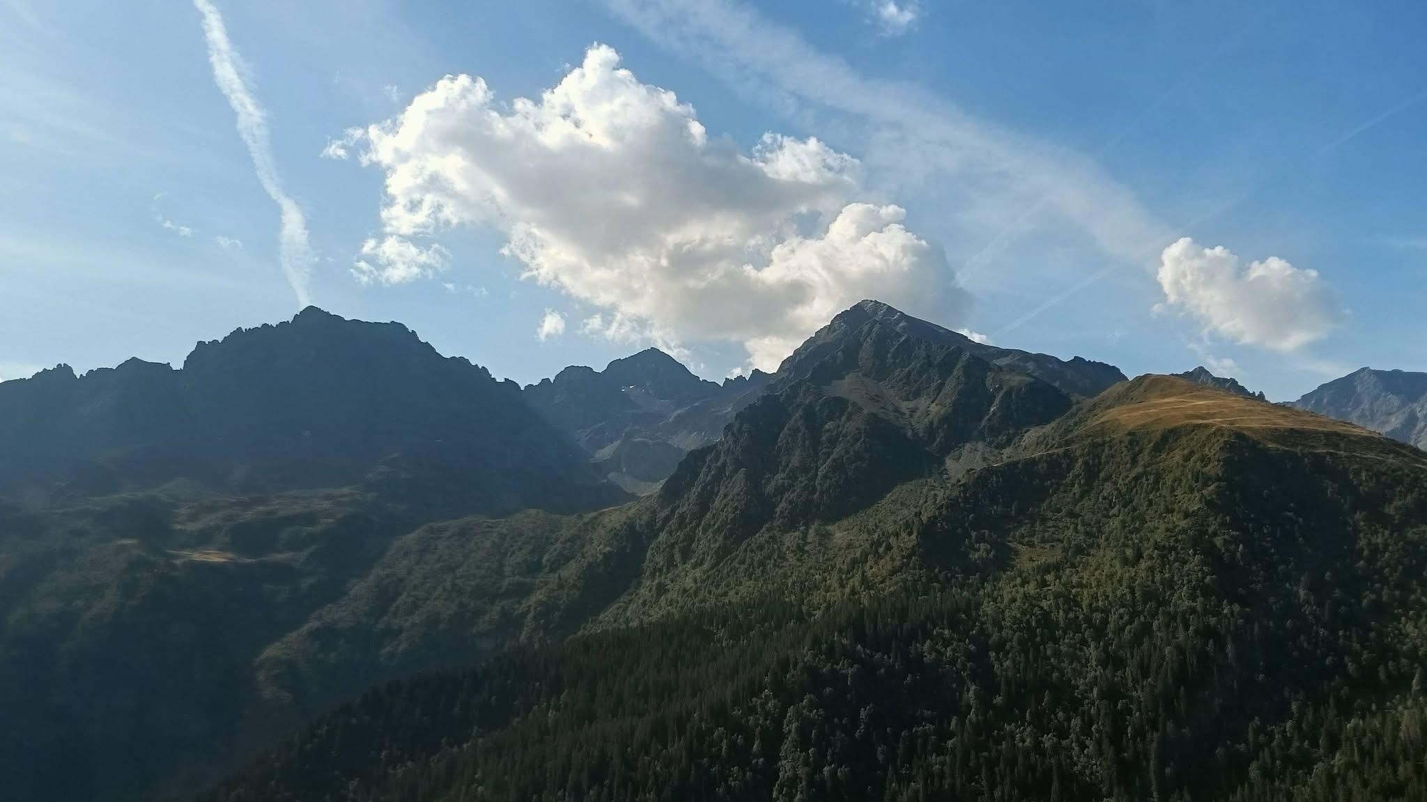 Panorama 