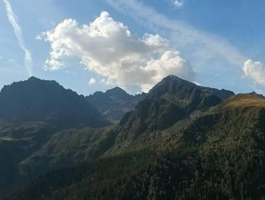 Panorama 