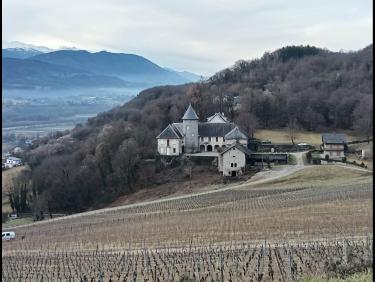 La papesse du rock'n'roll 