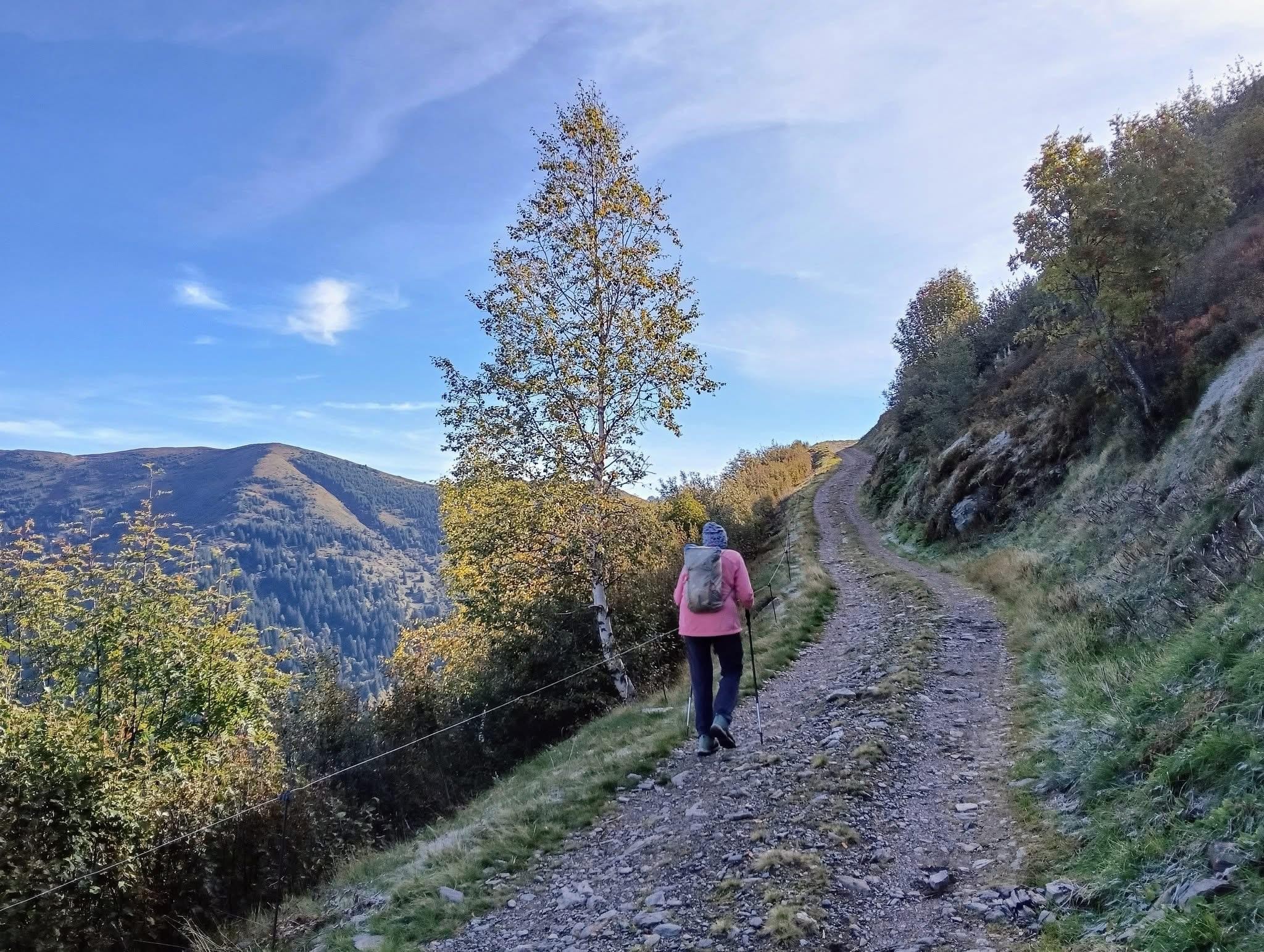Paradis alpestre