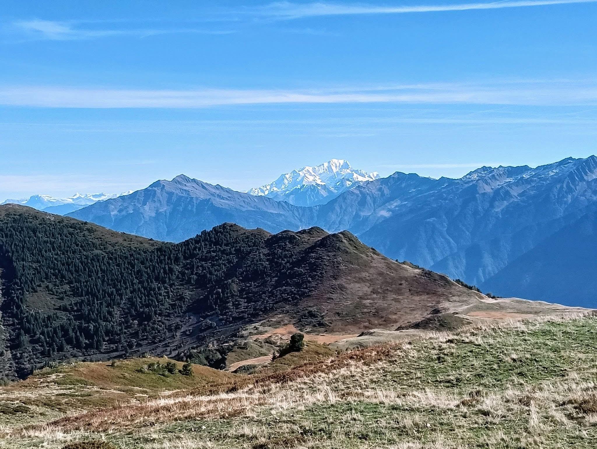 Paradis alpestre