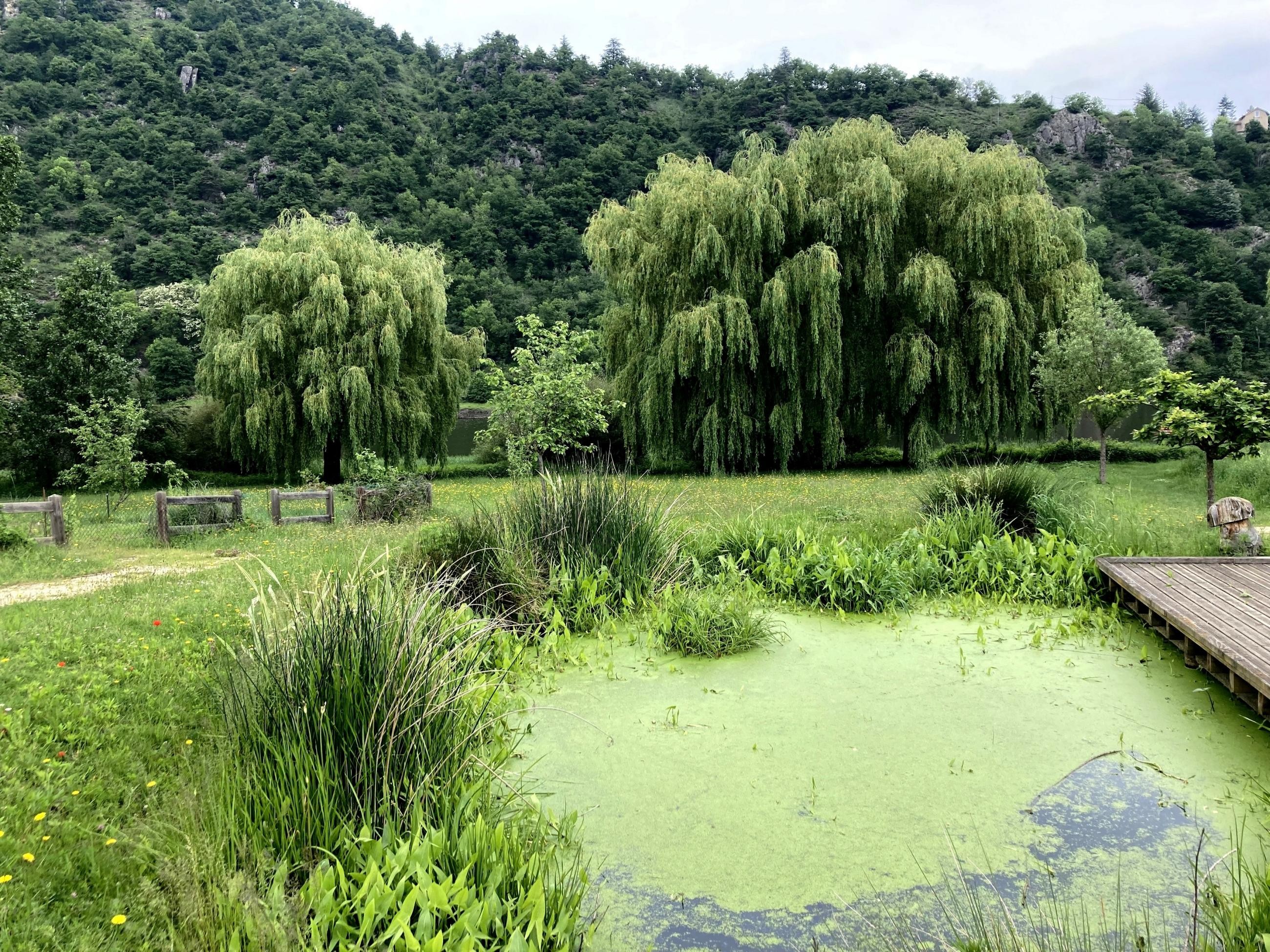 Parc écolo au bord de la Loire
