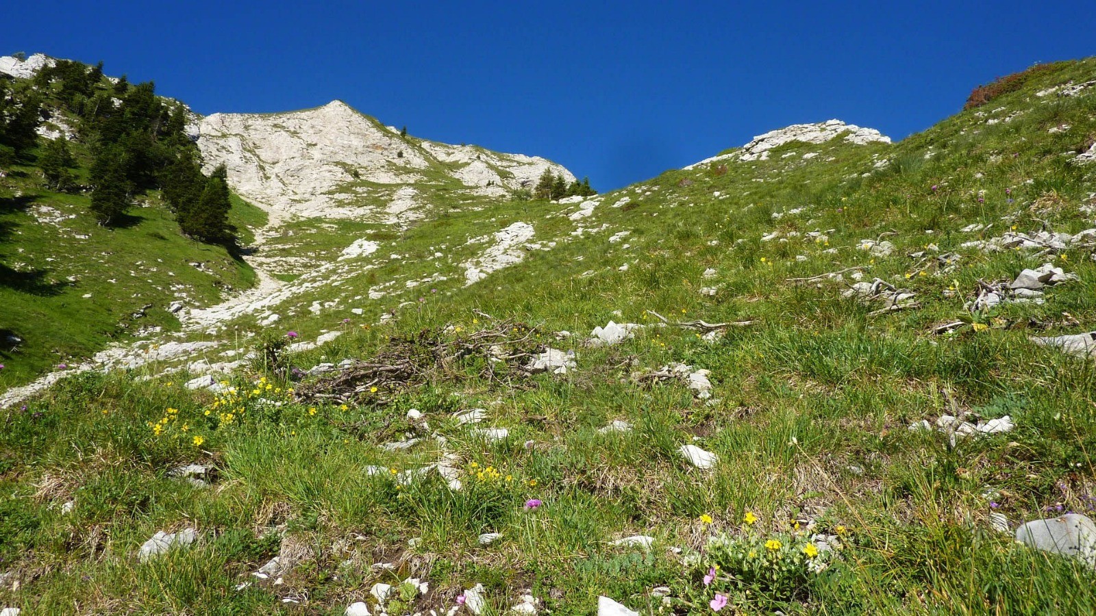 Partie mÃ©diane du Grand Couloir