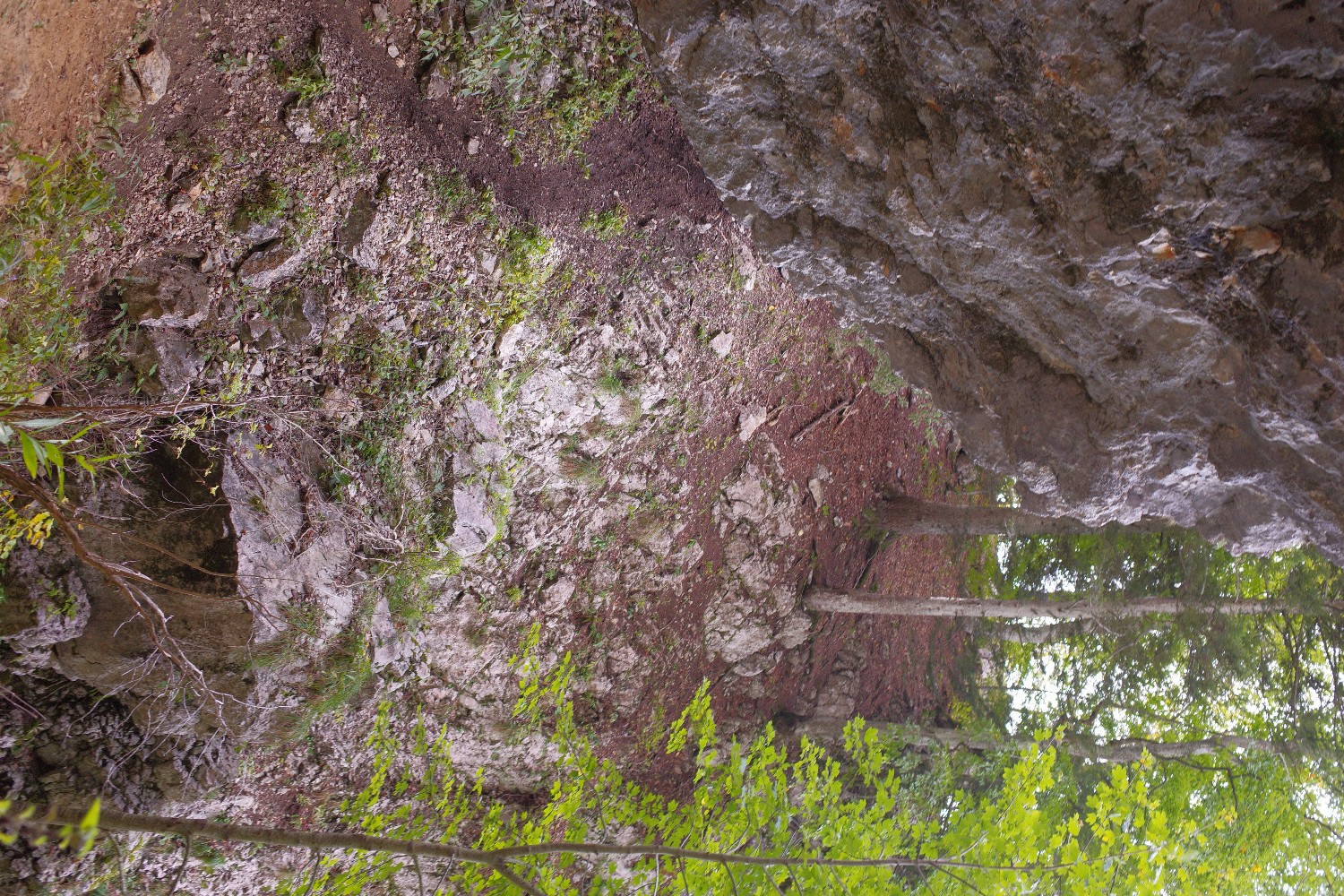 Vire à mi-hauteur du pas de la Chevre