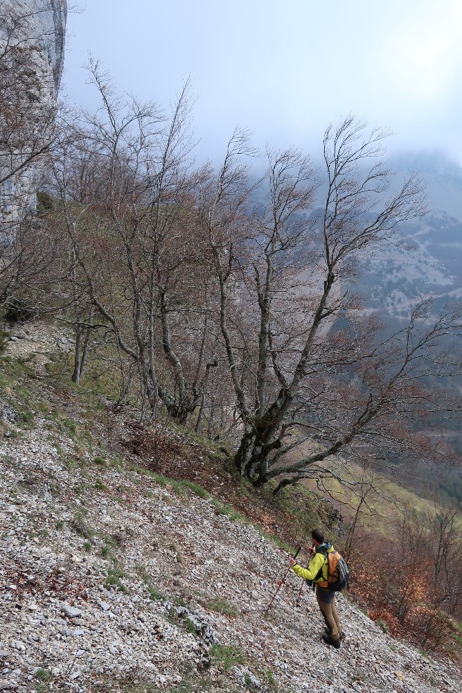 Pas de la FerriÃ¨re: dÃ©part de la vire