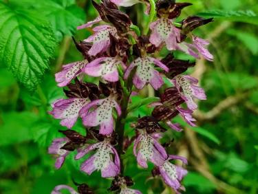 Pas moyen d&apos;être tranquille !