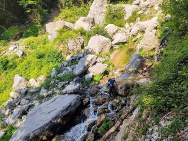 Pas moyen d&apos;être tranquille !