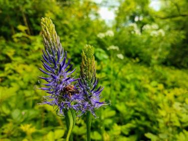 Pas moyen d&apos;être tranquille !