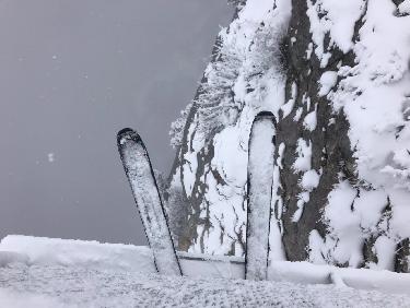 Pas plus loin que la spatule ....