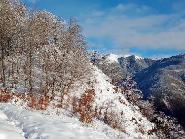 Pas question de rester enfermés