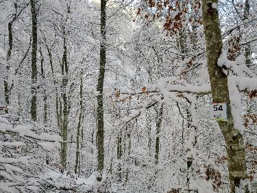 Pas question de rester enfermés