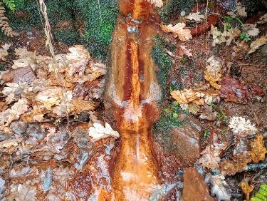 Pas question de rester enfermés