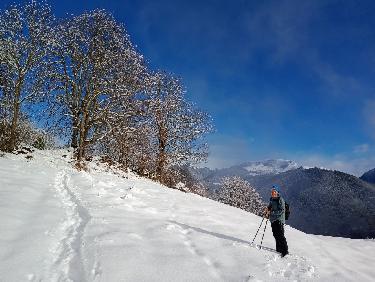 Pas question de rester enfermés