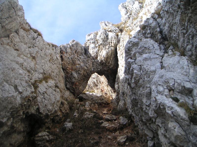 pas Ernadant