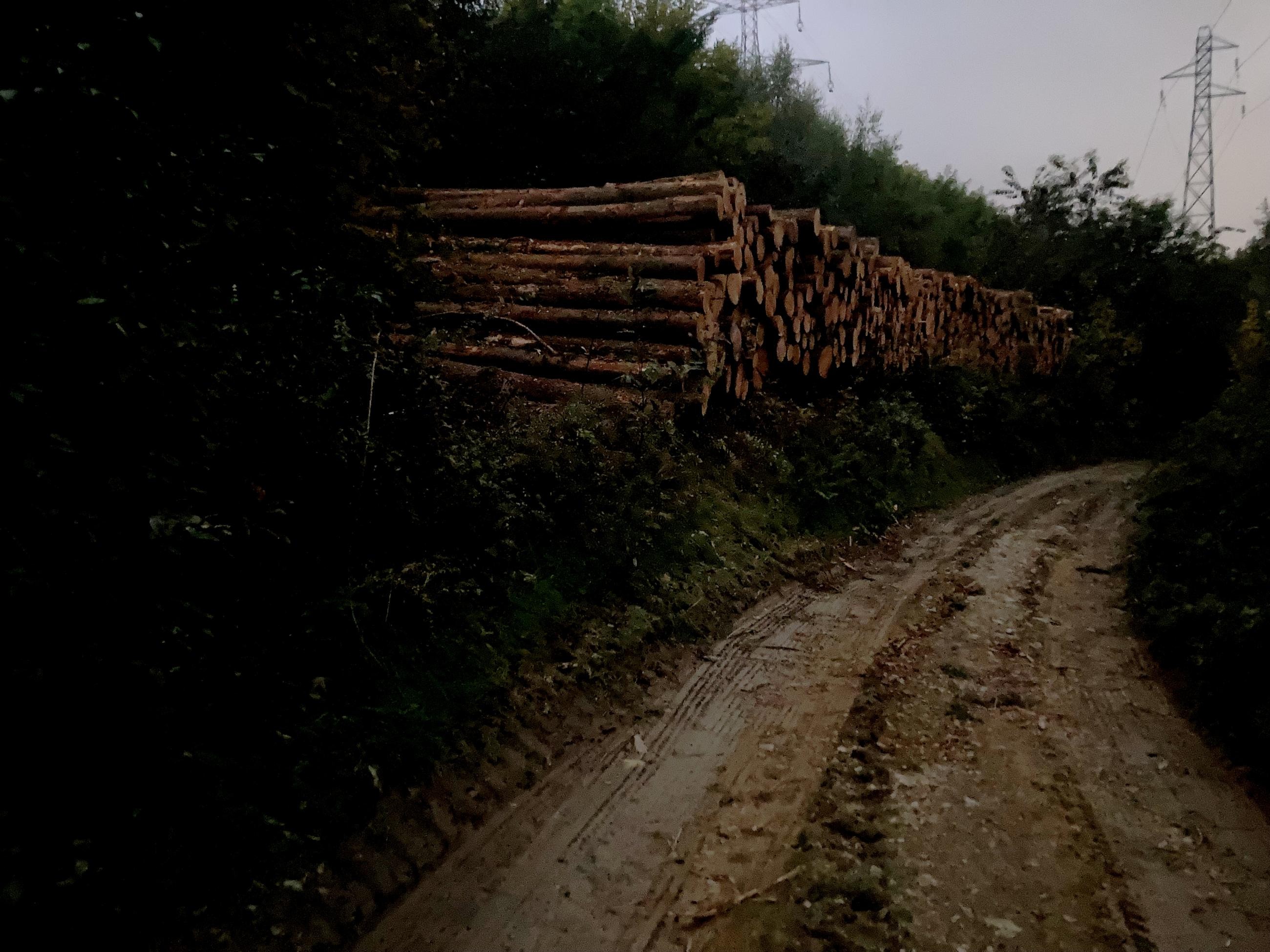 Passage libéré au retour (grumes bien entassées)