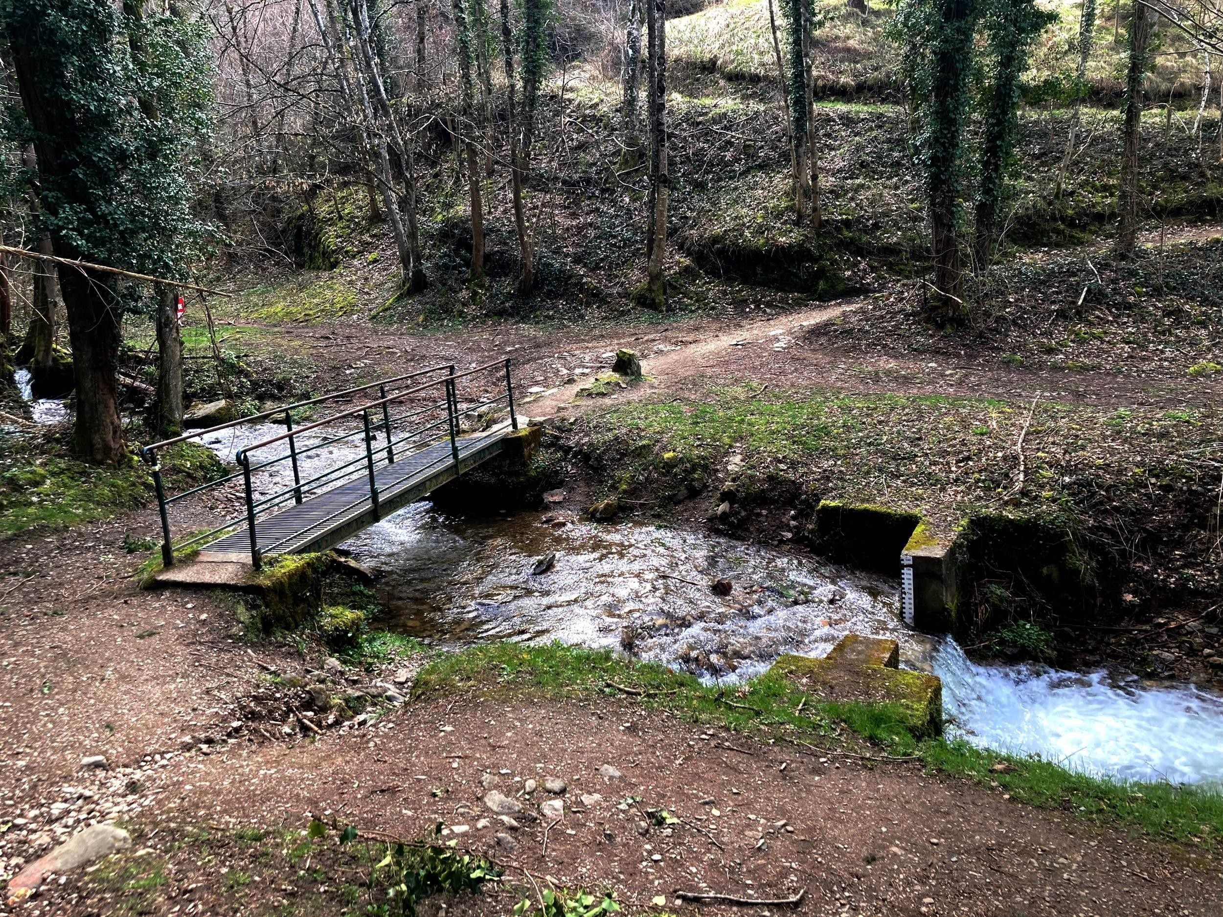 Passerelle sur le Jarret