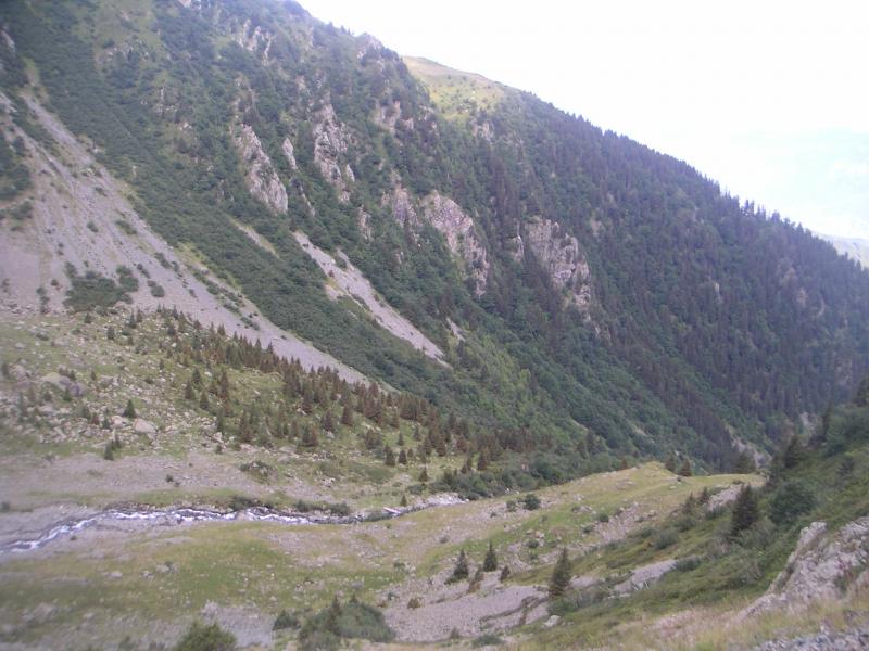 passerelle vue d'en haut
