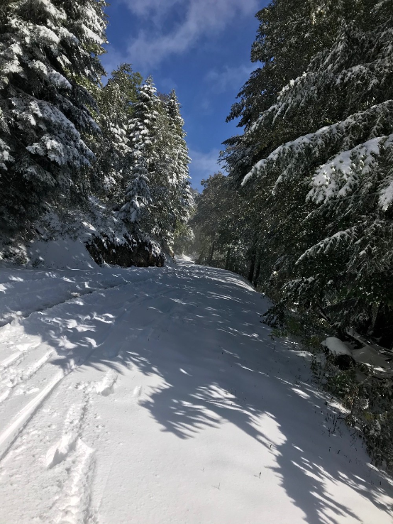 Paysage dâ€™hiver 