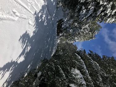 Paysage dâ€™hiver 