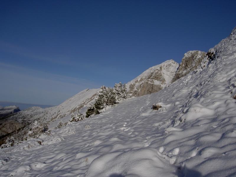 paysage