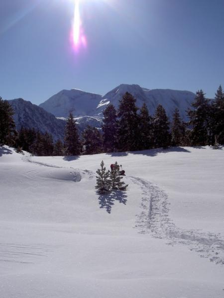 paysage