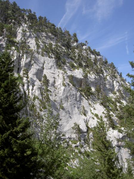 paysage à la descente