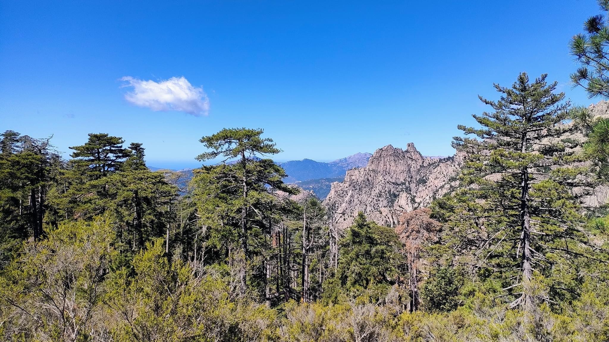 Paysage corse 