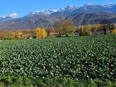 Boucle Montbonnot- Meylan - Montbonnot