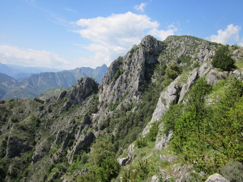 petit sentier à flanc