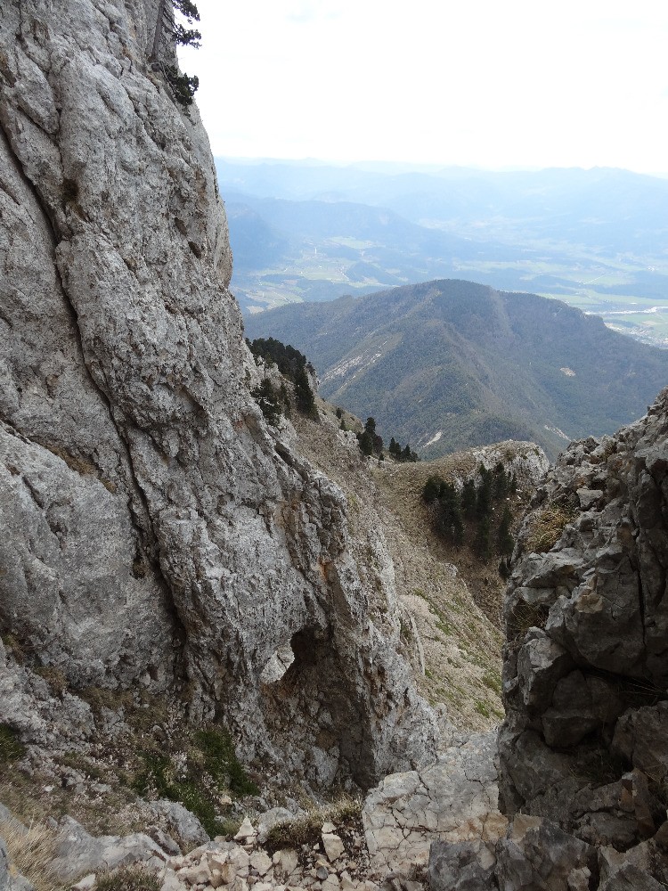 Petite arche
