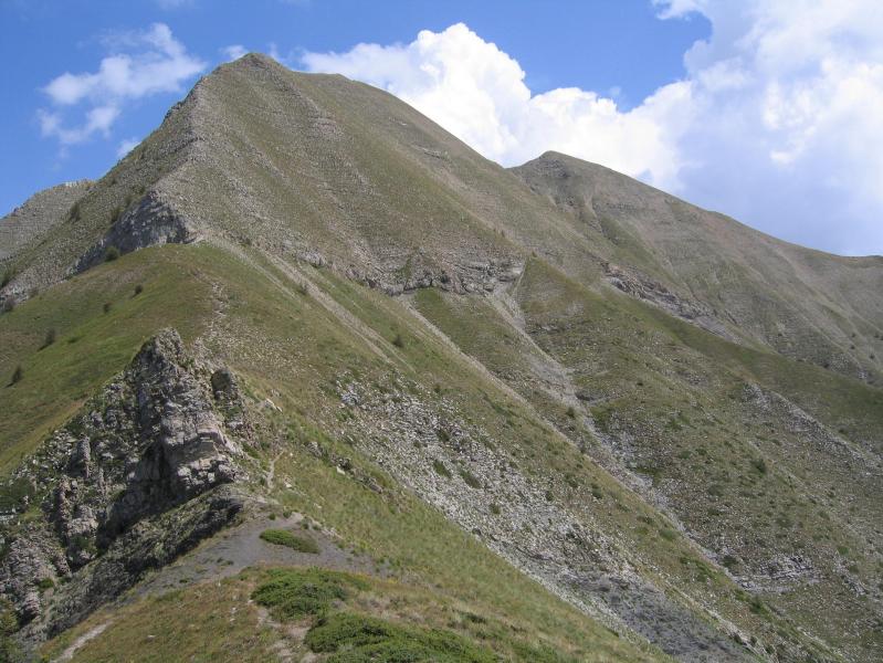 petite Autane