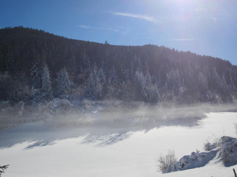 petite brume au ras du sol