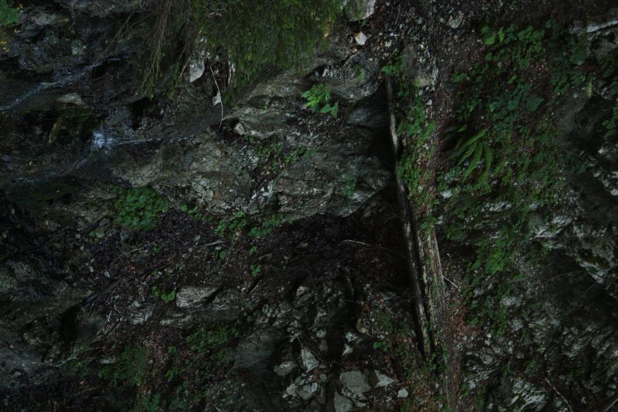 petite passerelle de bois