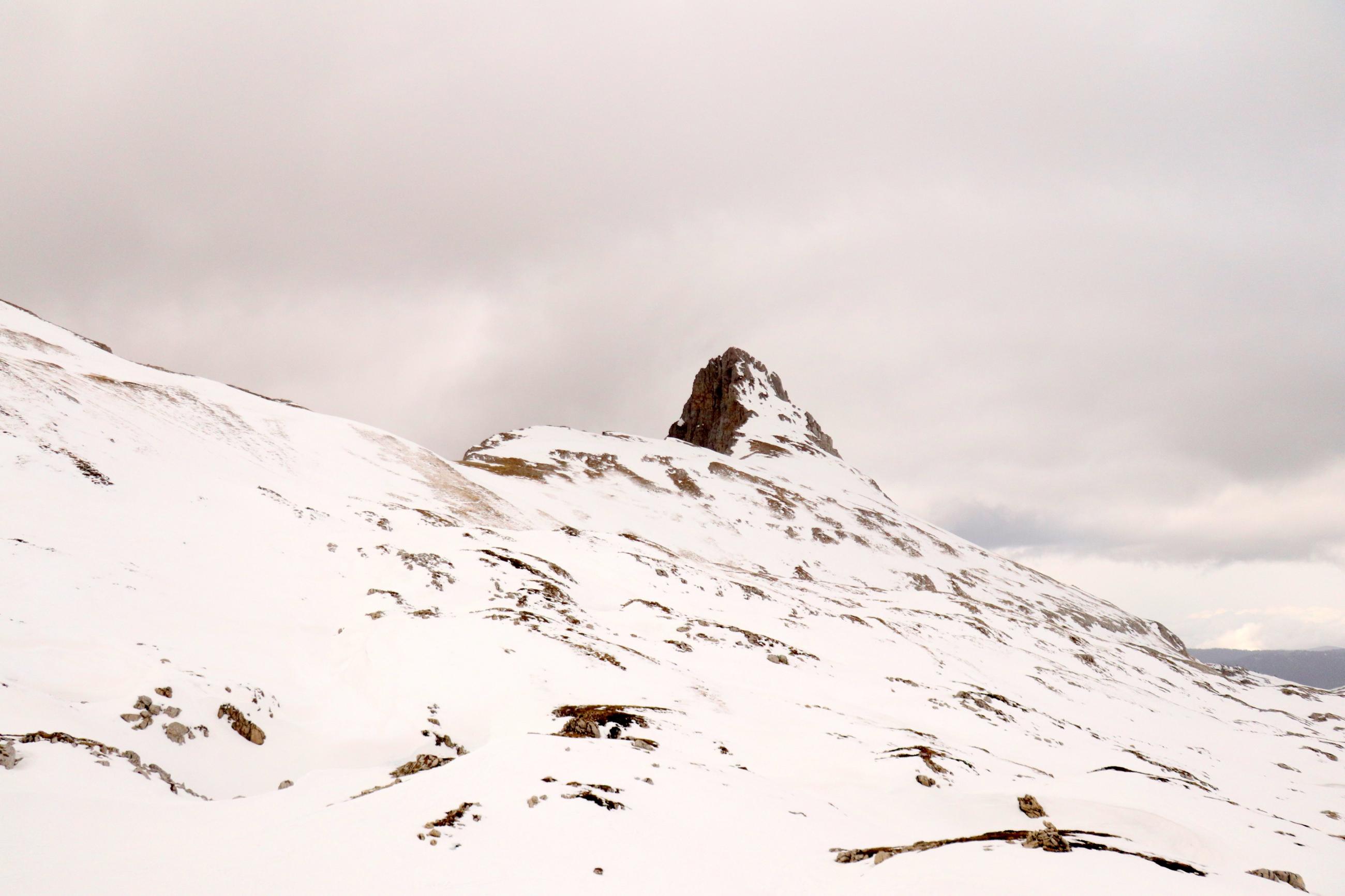 Petite soeur Sophie en AR 