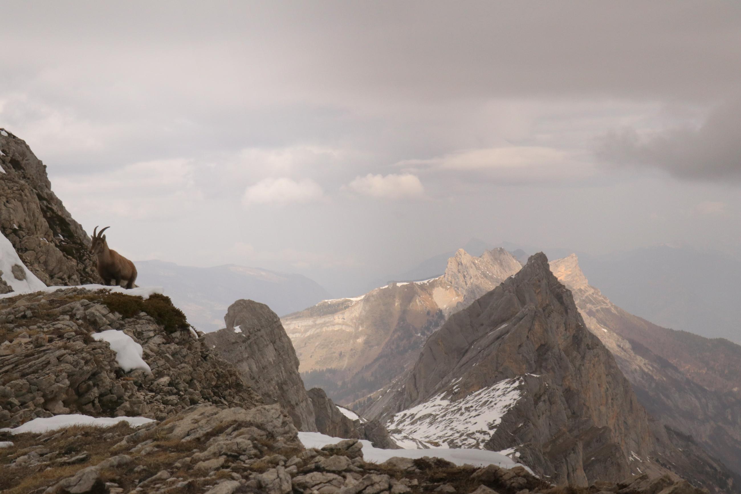 Petite soeur Sophie en AR 