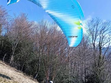 Les petites sœurs de Chalais