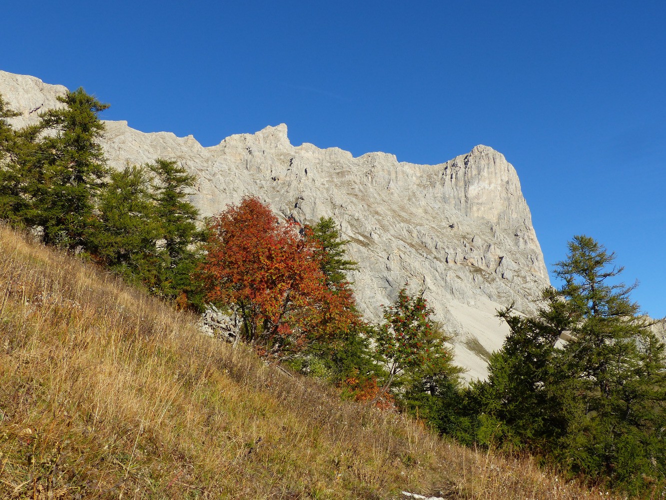 Pic de Bure par les pentes sud-est depuis les Sauvas