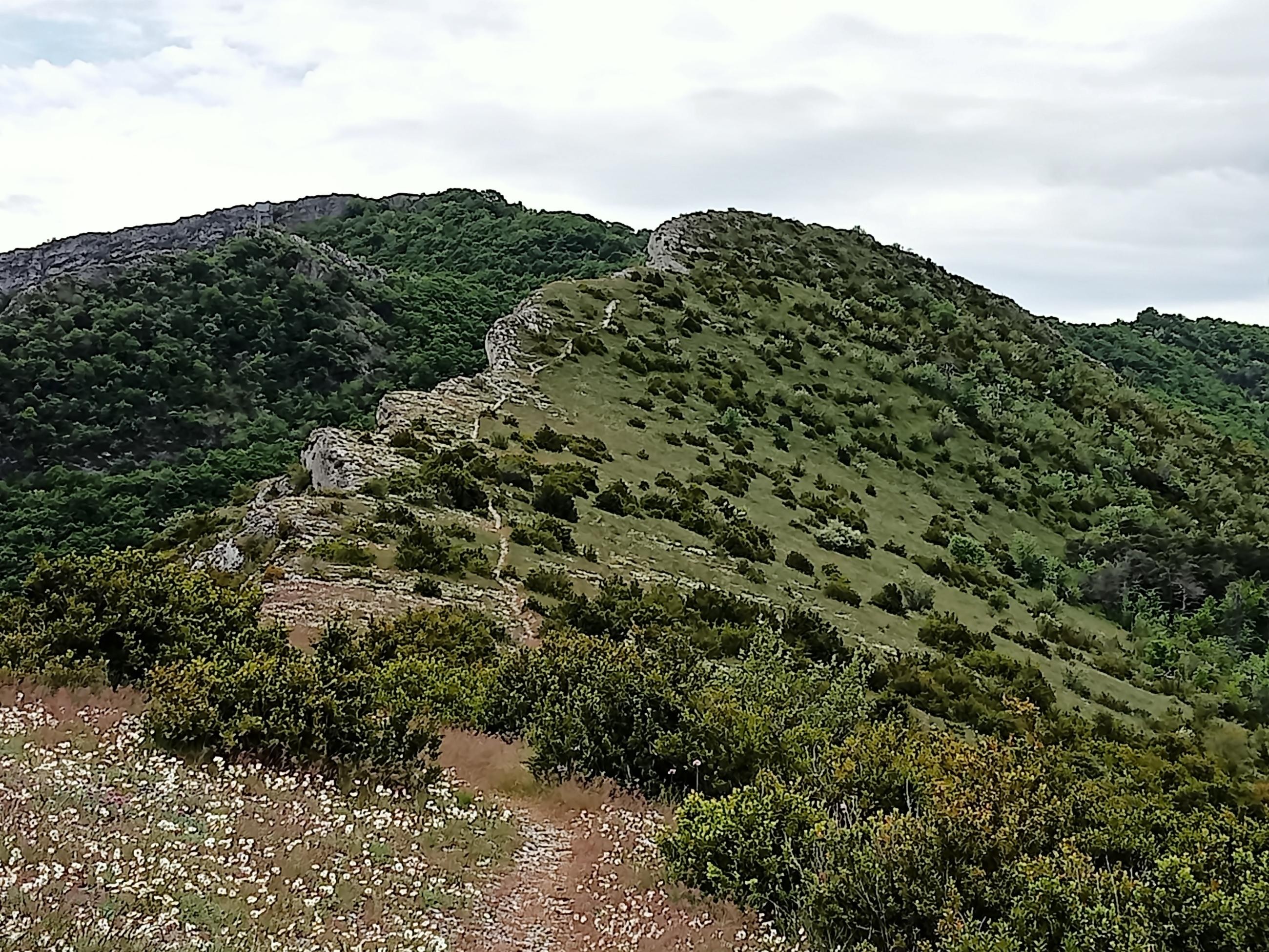 Pic de St Cyr et Montagne de la Platte