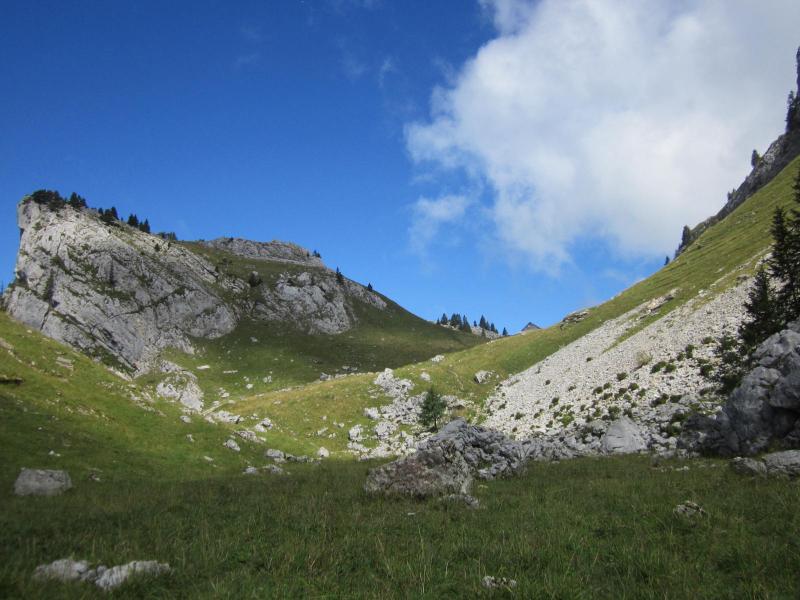 picnic sous Bovinant