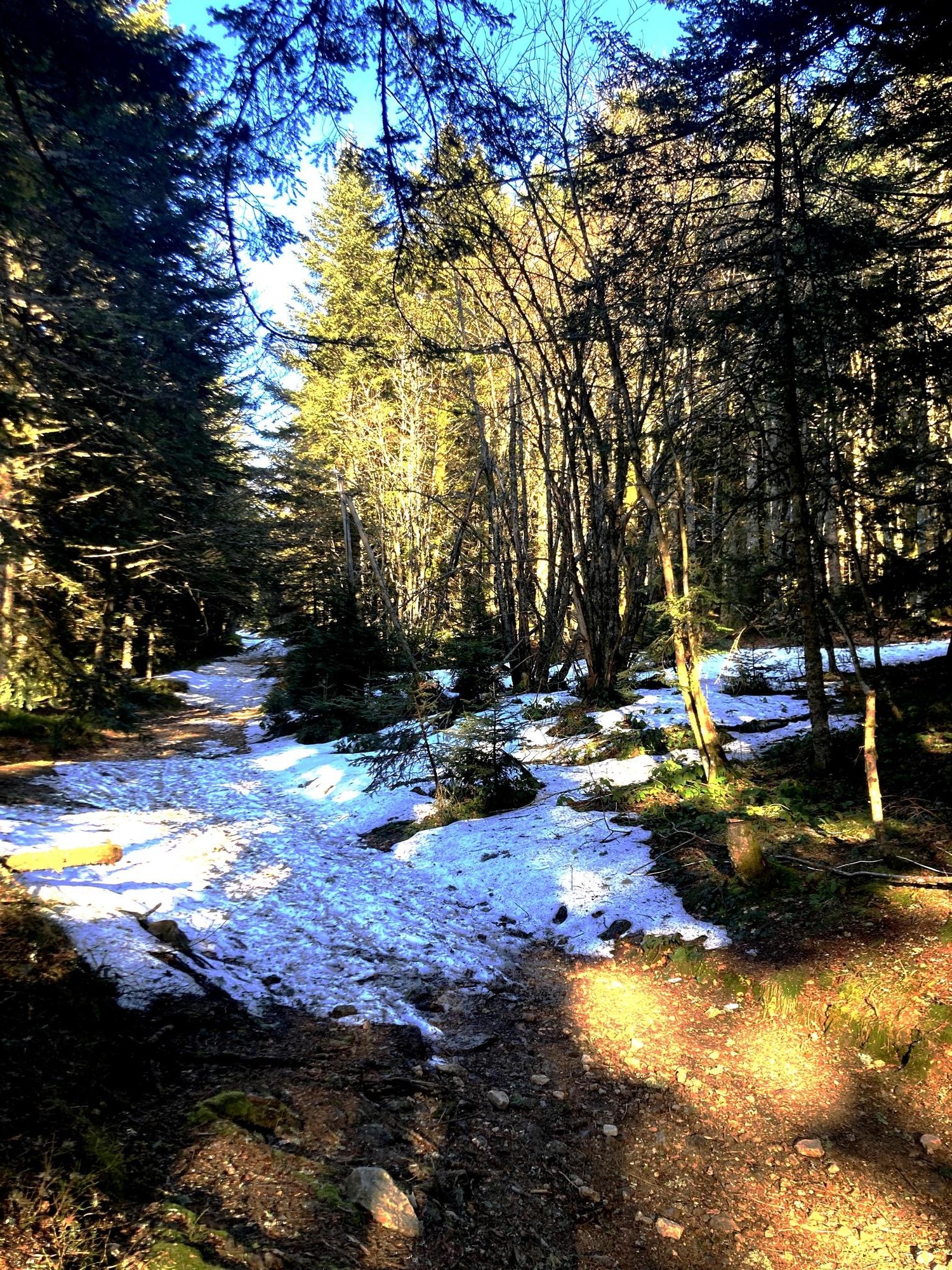 Piste de montée (GR)